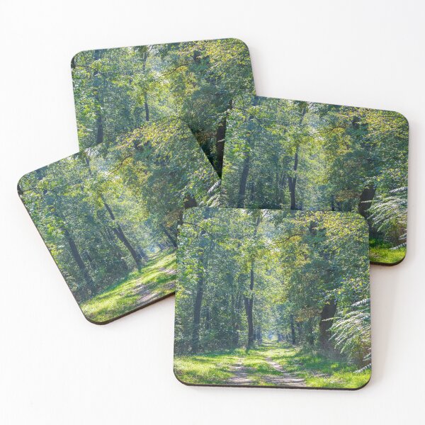 Item preview, Path in green forest designed and sold by Valdaliso.