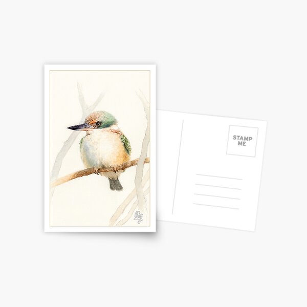 Sacred Kingfisher Postcard