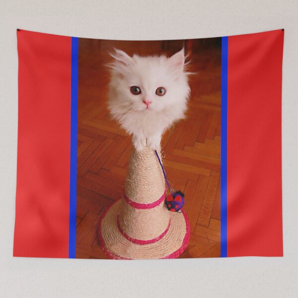 Item preview, White Persian Fluffy Baby Cat Up on a Sisal Hat (Photo by ACCI)  designed and sold by VanyssaGraphics.