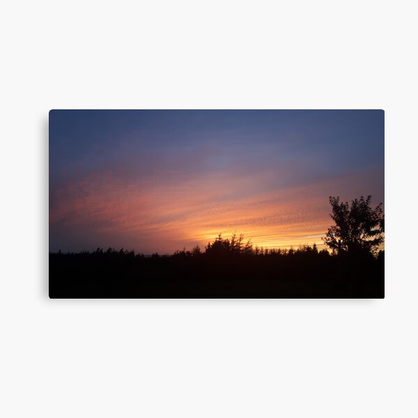 Judique South Sunsets Canvas Print