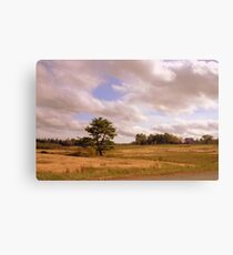 Lone Pine Canvas Print