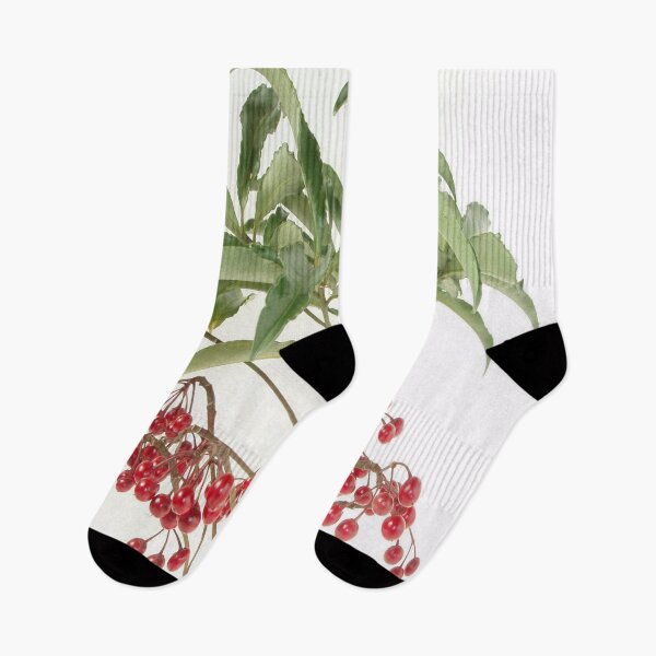 Item preview, Spice Berry Ardisia Evergreen Shrub Photograph designed and sold by taiche.