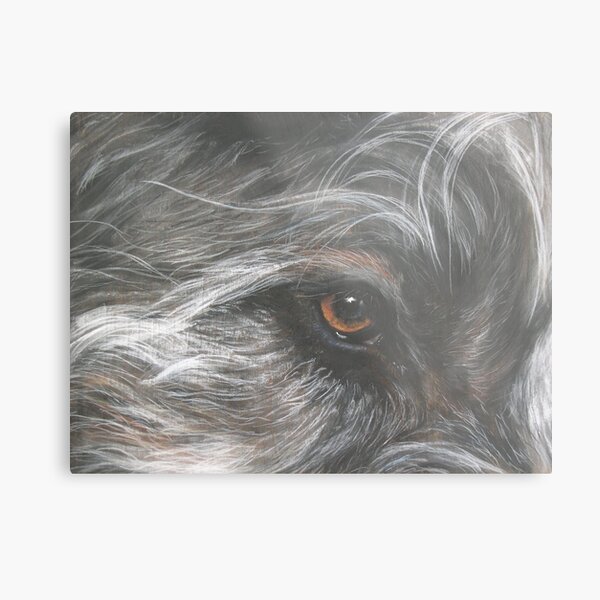 Irish eyes Metal Print