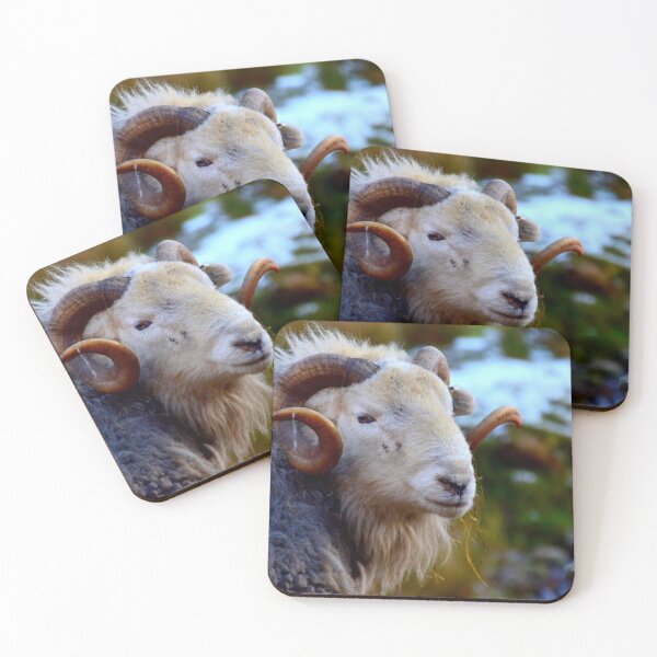Item preview, Lake District; Herdwick Ram designed and sold by Rob Parsons (Just a Walker with a Camera).