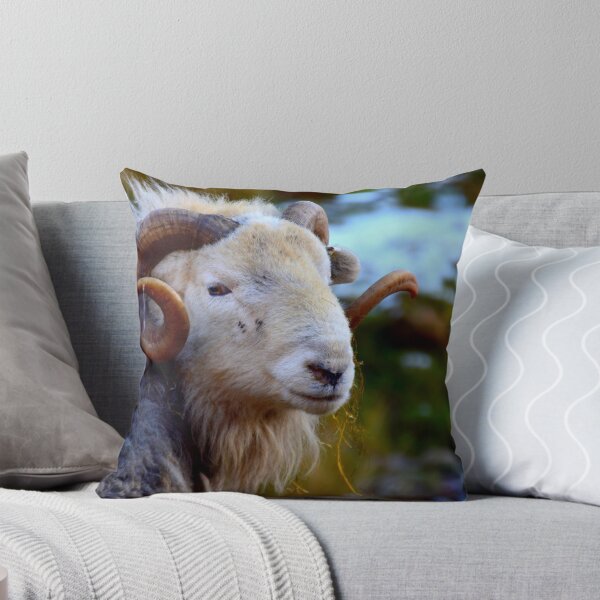 Item preview, Lake District; Herdwick Ram designed and sold by Rob Parsons (Just a Walker with a Camera).