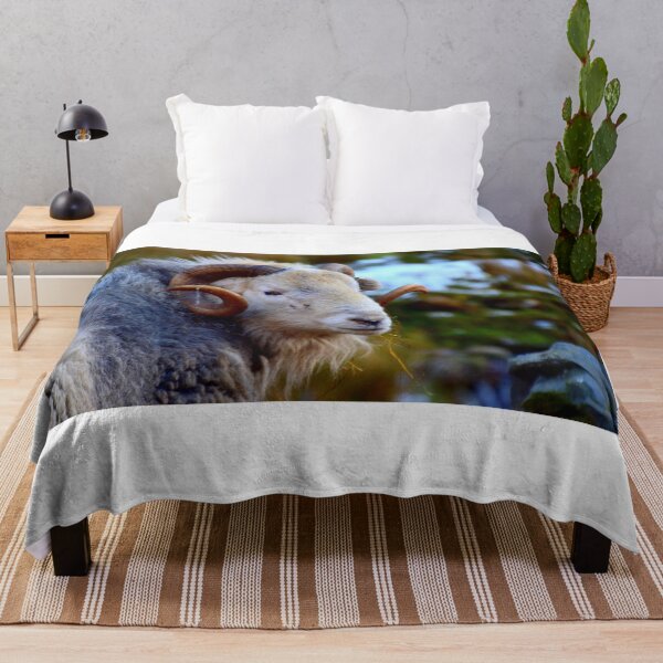 Item preview, Lake District; Herdwick Ram designed and sold by Rob Parsons (Just a Walker with a Camera).