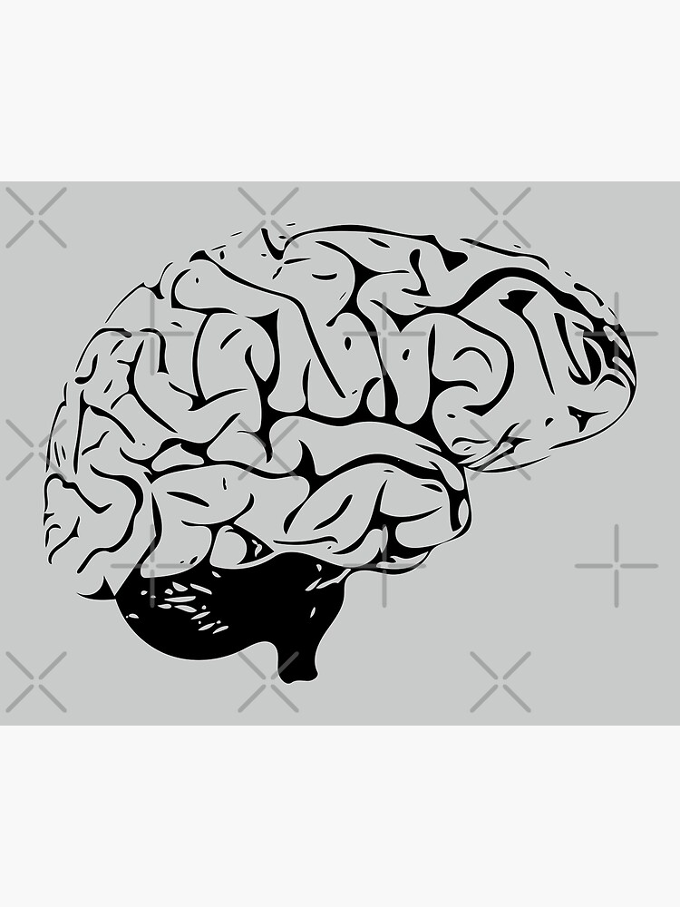 The Brain by beththompsonart