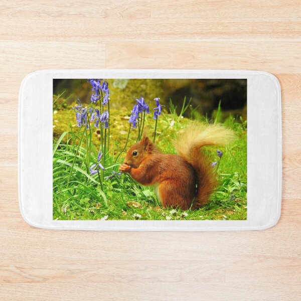 Item preview, Red Squirrel & Bluebells designed and sold by Rob Parsons (Just a Walker with a Camera).