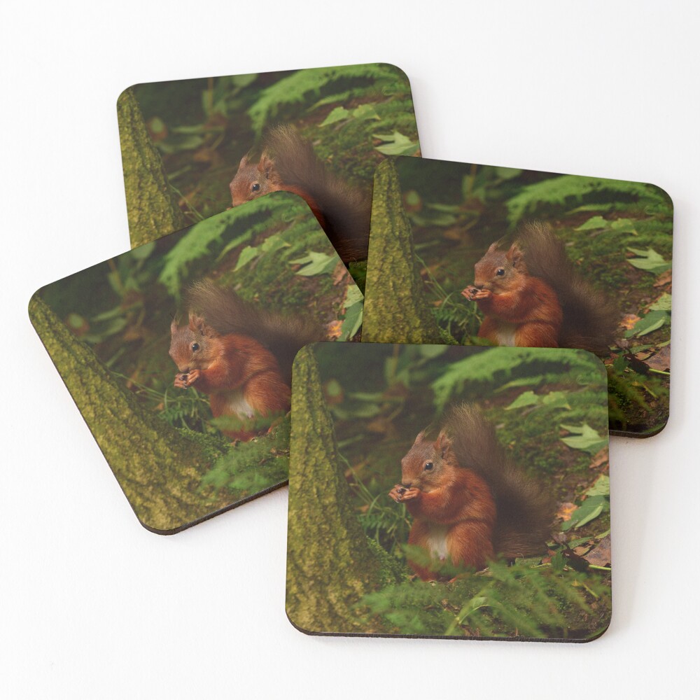 Item preview, Coasters (Set of 4) designed and sold by rob3003.