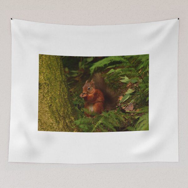 Item preview, Red Squirrel designed and sold by Rob Parsons (Just a Walker with a Camera).