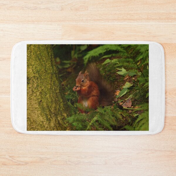 Item preview, Red Squirrel designed and sold by Rob Parsons (Just a Walker with a Camera).