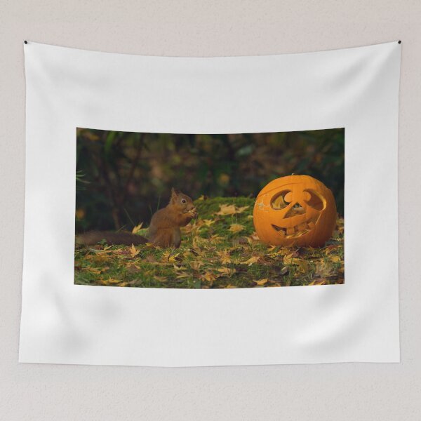 Item preview, Halloween Red Squirrel designed and sold by Rob Parsons (Just a Walker with a Camera).