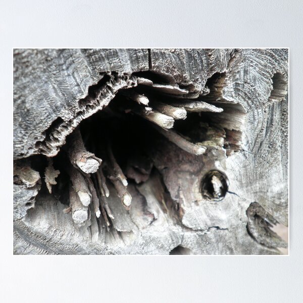 Artikelvorschau, Mysterium ala Wood entworfen und verkauft von FeeBeeDee.
