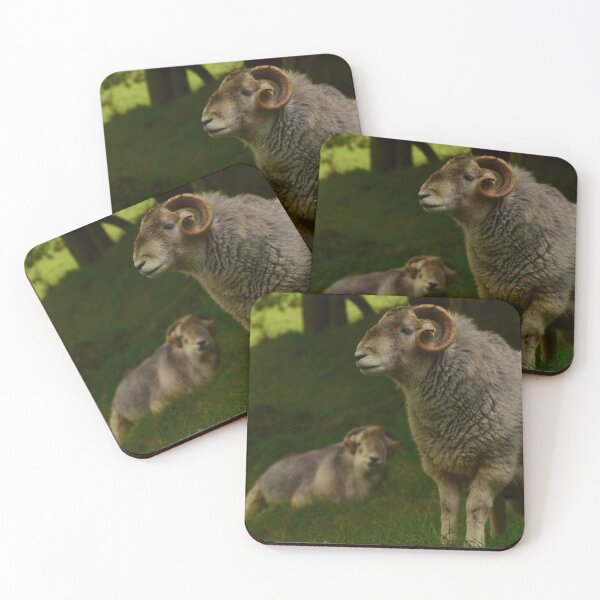 Item preview, Lake District: Herdwick Ram designed and sold by Rob Parsons (Just a Walker with a Camera).