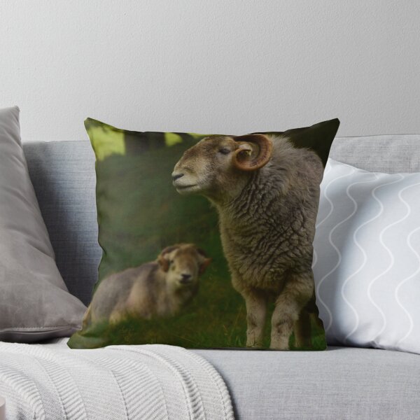 Item preview, Lake District: Herdwick Ram designed and sold by Rob Parsons (Just a Walker with a Camera).