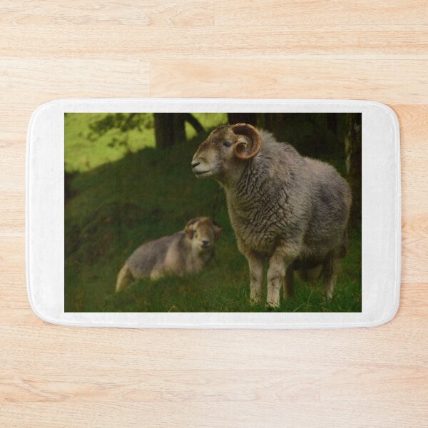 Item preview, Lake District: Herdwick Ram designed and sold by Rob Parsons (Just a Walker with a Camera).
