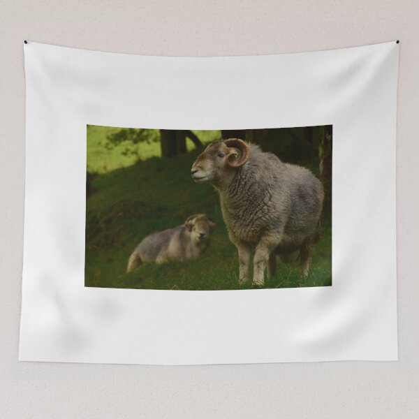 Item preview, Lake District: Herdwick Ram designed and sold by Rob Parsons (Just a Walker with a Camera).
