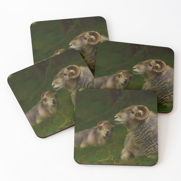 Item preview, Lake District: Herdwick Ram designed and sold by Rob Parsons (Just a Walker with a Camera).