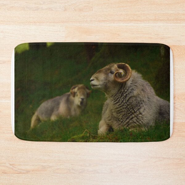 Item preview, Lake District: Herdwick Ram designed and sold by Rob Parsons (Just a Walker with a Camera).