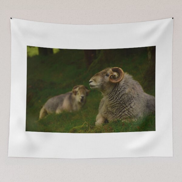 Item preview, Lake District: Herdwick Ram designed and sold by Rob Parsons (Just a Walker with a Camera).