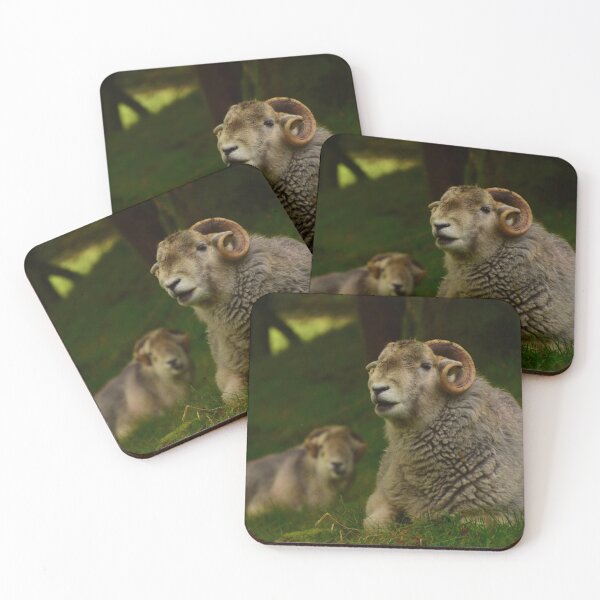 Item preview, Lake District: Herdwick Ram designed and sold by Rob Parsons (Just a Walker with a Camera).