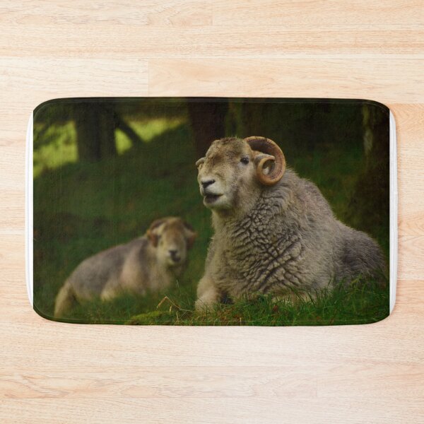 Item preview, Lake District: Herdwick Ram designed and sold by Rob Parsons (Just a Walker with a Camera).
