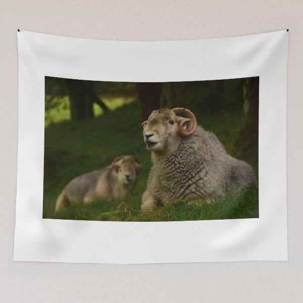 Item preview, Lake District: Herdwick Ram designed and sold by Rob Parsons (Just a Walker with a Camera).