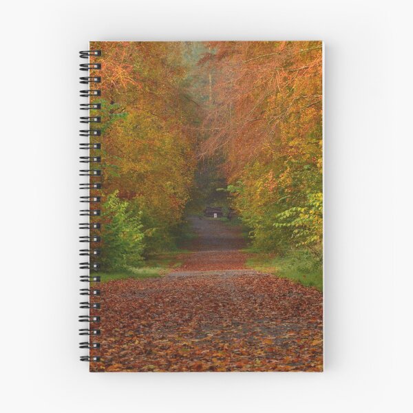 Item preview, Autumn at Lowther designed and sold by Rob Parsons (Just a Walker with a Camera).