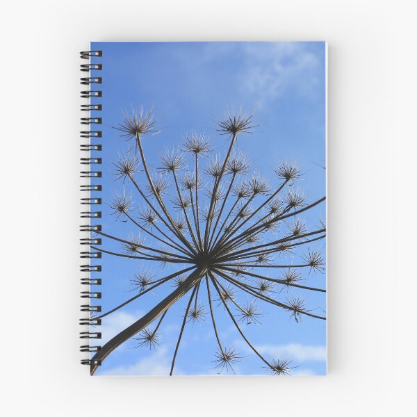 Item preview, giant  hogweed against the blue sky designed and sold by mrivserg.