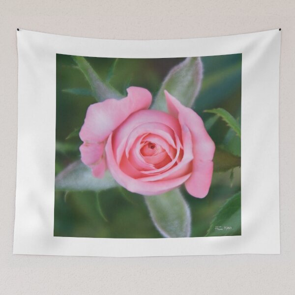 Item preview, En Rose designed and sold by PhanieMilton.