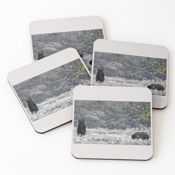 Item preview, Grizzly Bears in the Snow - Grand Teton National Park designed and sold by Lesswired.