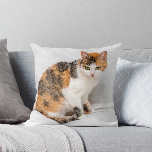 Item preview, Tricolor cat with green eyes designed and sold by Valdaliso.