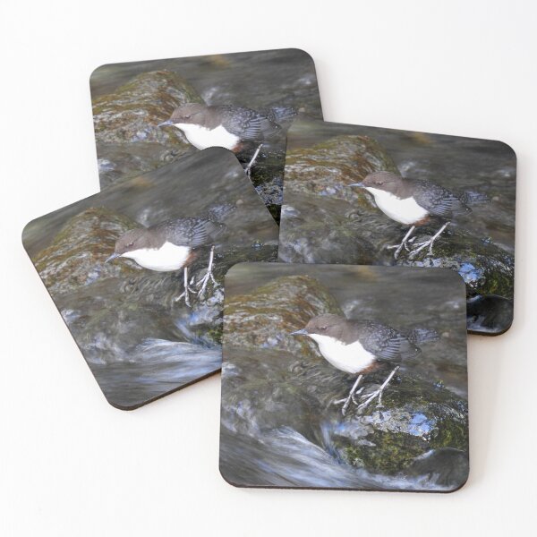 Item preview, Lake District: Dipper on the Derwent designed and sold by Rob Parsons (Just a Walker with a Camera).