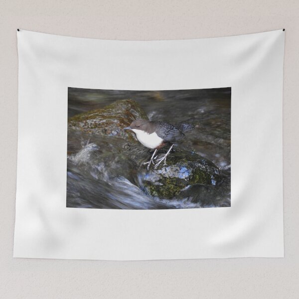 Item preview, Lake District: Dipper on the Derwent designed and sold by Rob Parsons (Just a Walker with a Camera).