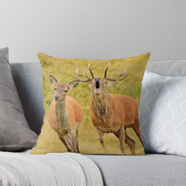 Item preview, Lake District: Red Deer Stag designed and sold by Rob Parsons (Just a Walker with a Camera).