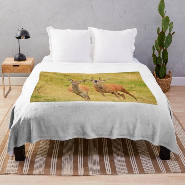 Item preview, Lake District: Red Deer Stag designed and sold by Rob Parsons (Just a Walker with a Camera).