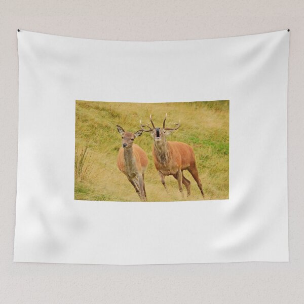 Item preview, Lake District: Red Deer Stag designed and sold by Rob Parsons (Just a Walker with a Camera).