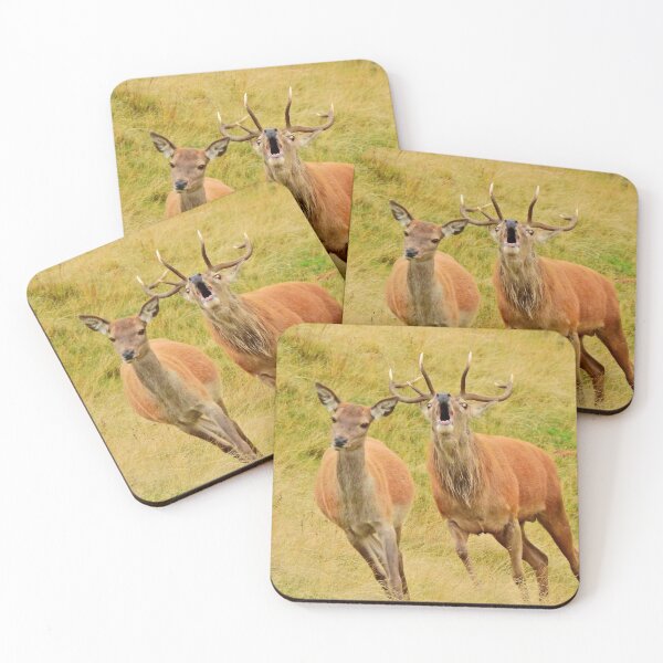 Item preview, Lake District: Red Deer Stag designed and sold by Rob Parsons (Just a Walker with a Camera).