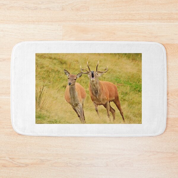 Item preview, Lake District: Red Deer Stag designed and sold by Rob Parsons (Just a Walker with a Camera).