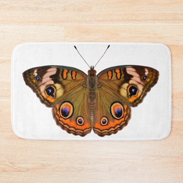 Aperçu de l'œuvre Conception de papillon - Buckeye commun créée et vendue par Sweetie Spicy.