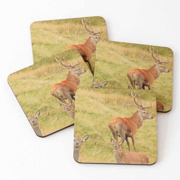 Item preview, Lake District: Red Deer Stag designed and sold by Rob Parsons (Just a Walker with a Camera).