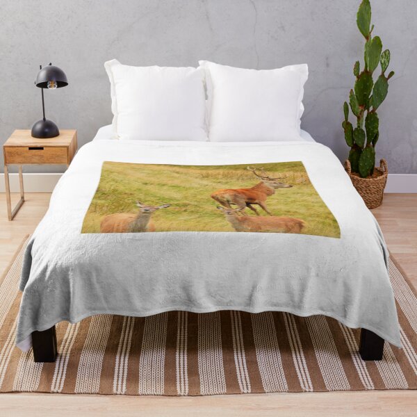 Item preview, Lake District: Red Deer Stag designed and sold by Rob Parsons (Just a Walker with a Camera).