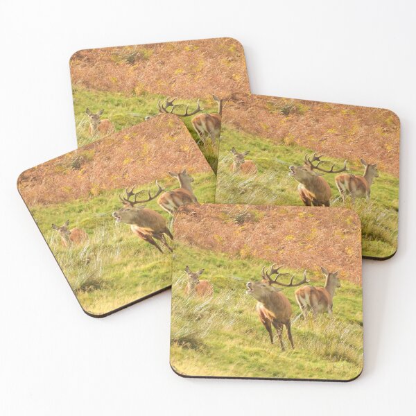Item preview, Lake District: Red Deer Stag designed and sold by Rob Parsons (Just a Walker with a Camera).