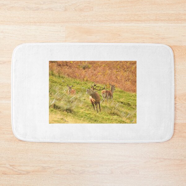Item preview, Lake District: Red Deer Stag designed and sold by Rob Parsons (Just a Walker with a Camera).