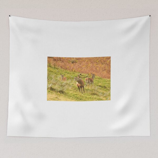 Item preview, Lake District: Red Deer Stag designed and sold by Rob Parsons (Just a Walker with a Camera).