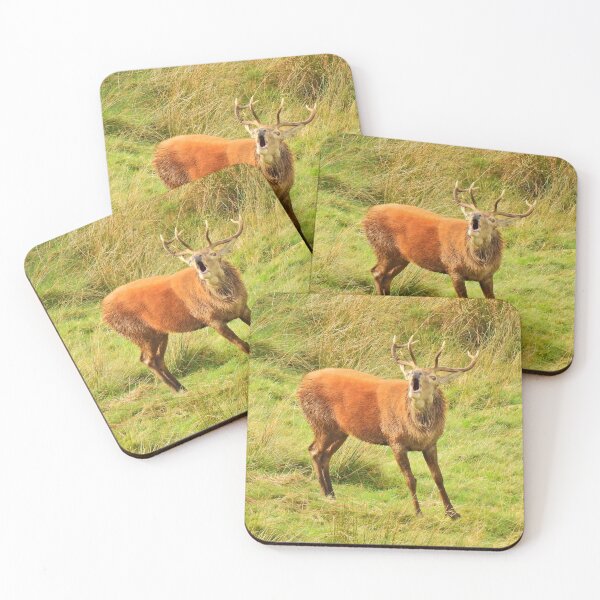 Item preview, Lake District: Red Deer Stag designed and sold by Rob Parsons (Just a Walker with a Camera).