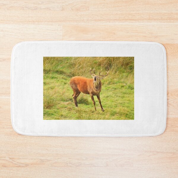 Item preview, Lake District: Red Deer Stag designed and sold by Rob Parsons (Just a Walker with a Camera).