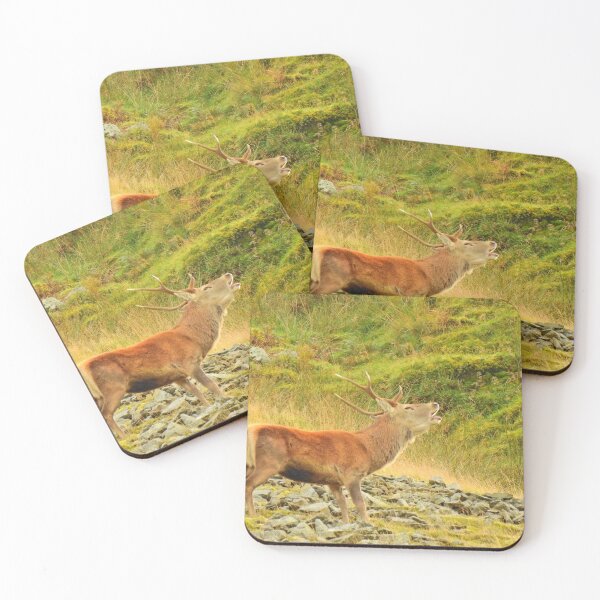 Item preview, Lake District: Red Deer Stag designed and sold by Rob Parsons (Just a Walker with a Camera).