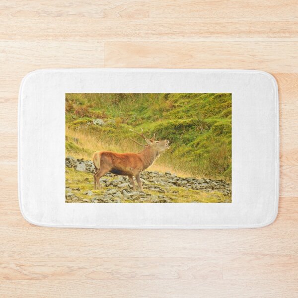 Item preview, Lake District: Red Deer Stag designed and sold by Rob Parsons (Just a Walker with a Camera).