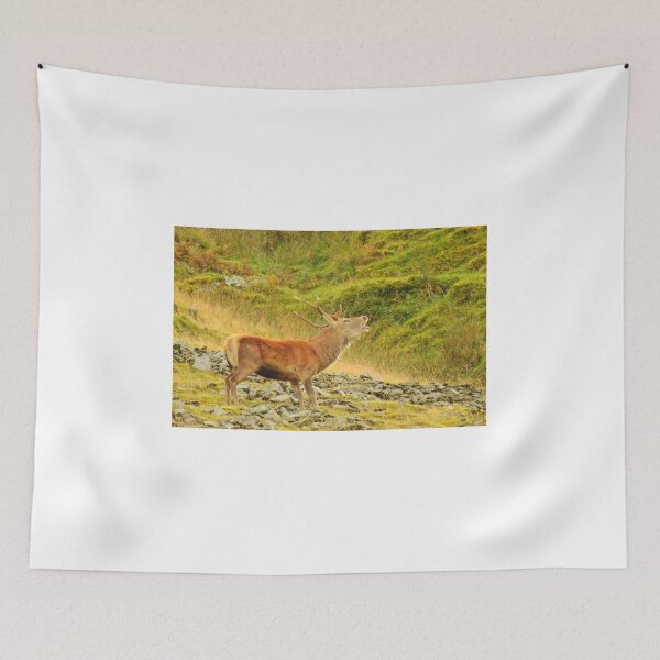 Item preview, Lake District: Red Deer Stag designed and sold by Rob Parsons (Just a Walker with a Camera).